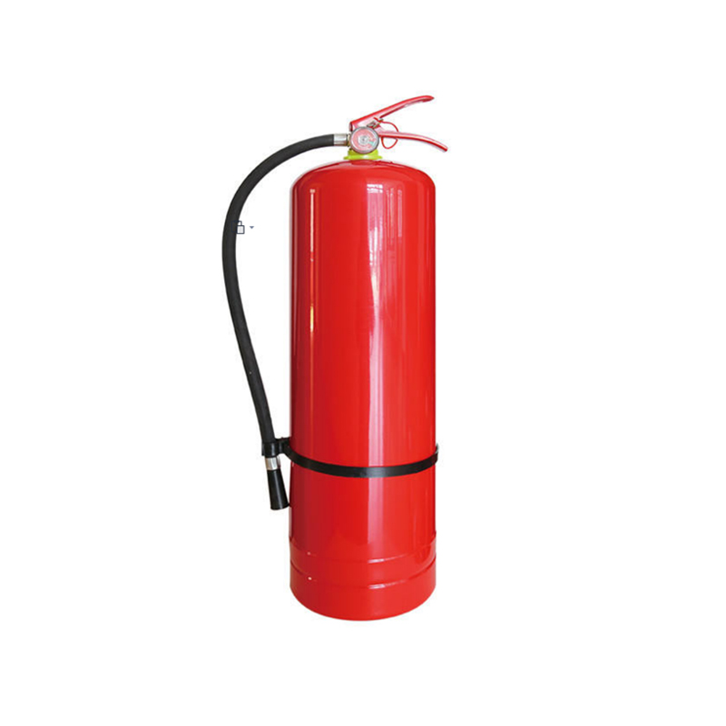 Estintore a polvere da 12 kg