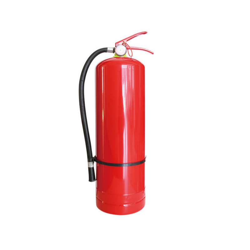 Estintore a polvere da 9 kg